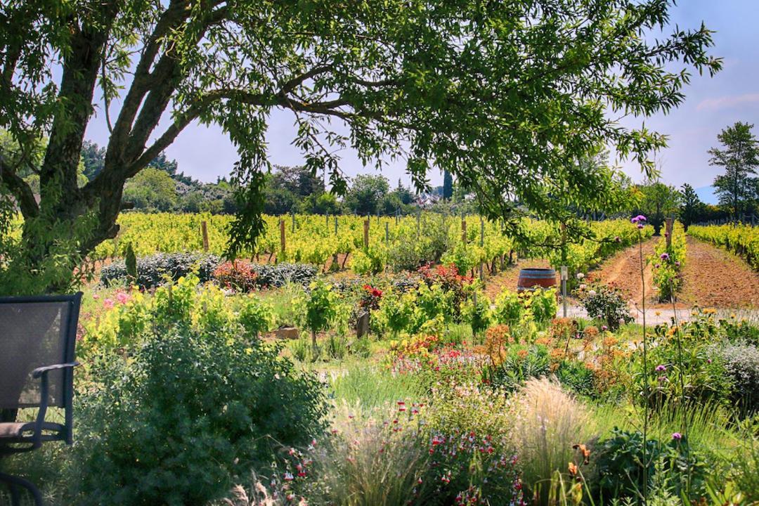 Villemoustaussou O'Vineyards B&B Carcassonne מראה חיצוני תמונה