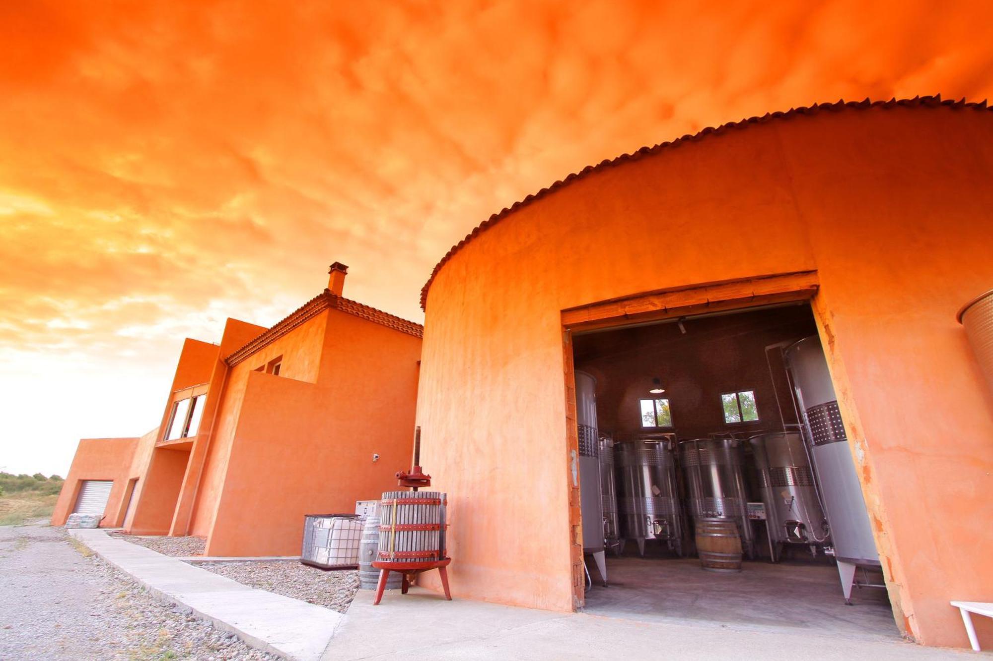Villemoustaussou O'Vineyards B&B Carcassonne מראה חיצוני תמונה