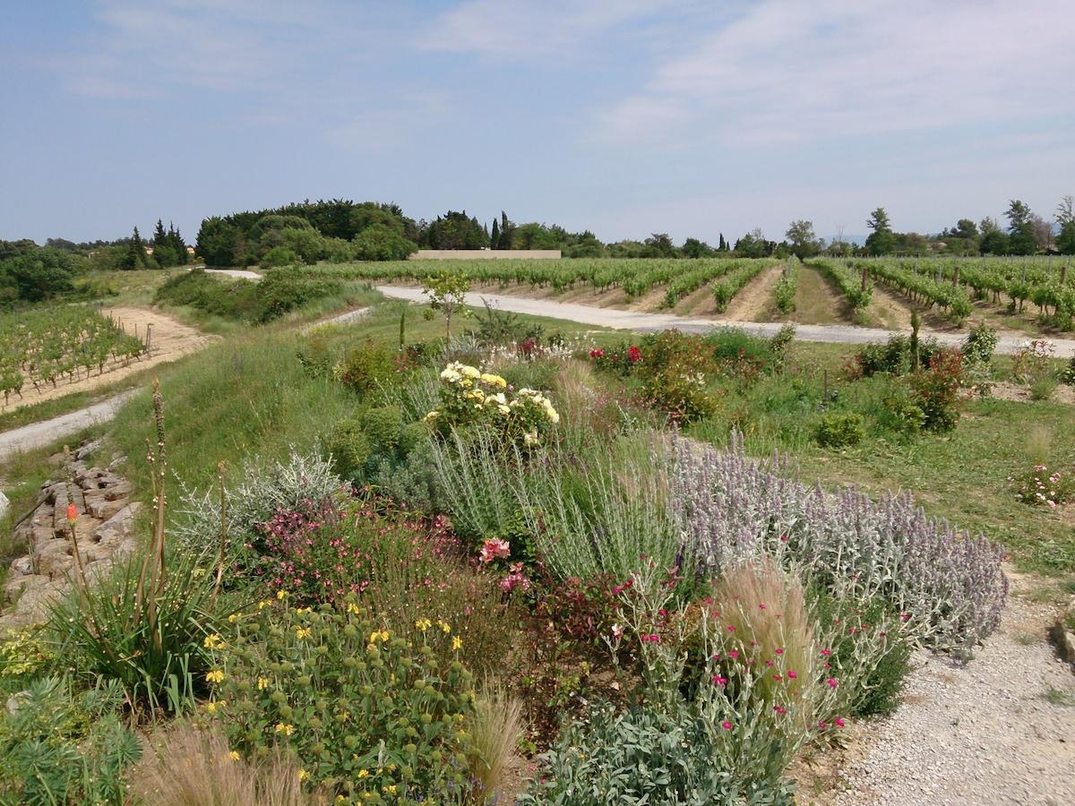Villemoustaussou O'Vineyards B&B Carcassonne חדר תמונה