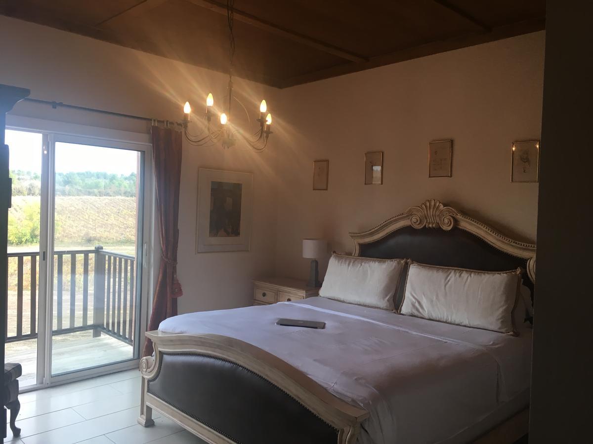 Villemoustaussou O'Vineyards B&B Carcassonne מראה חיצוני תמונה