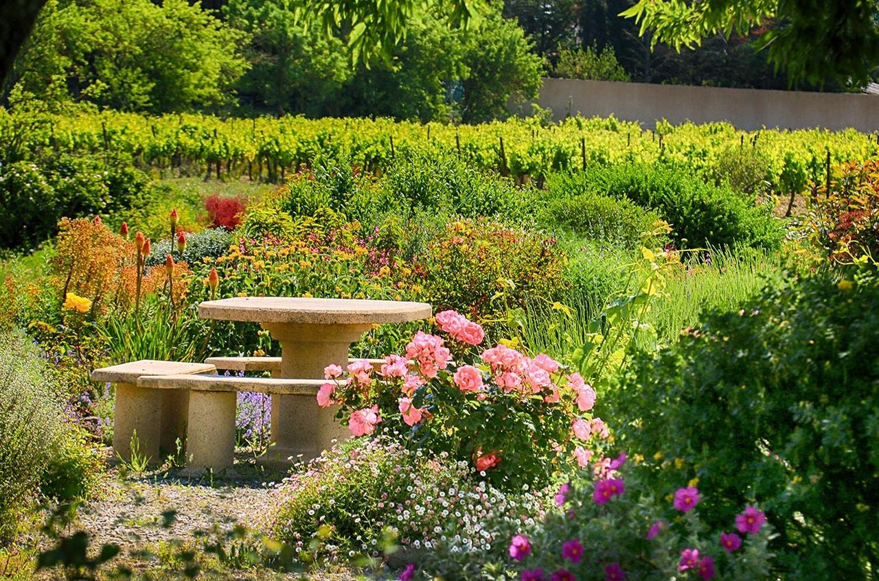 Villemoustaussou O'Vineyards B&B Carcassonne מראה חיצוני תמונה