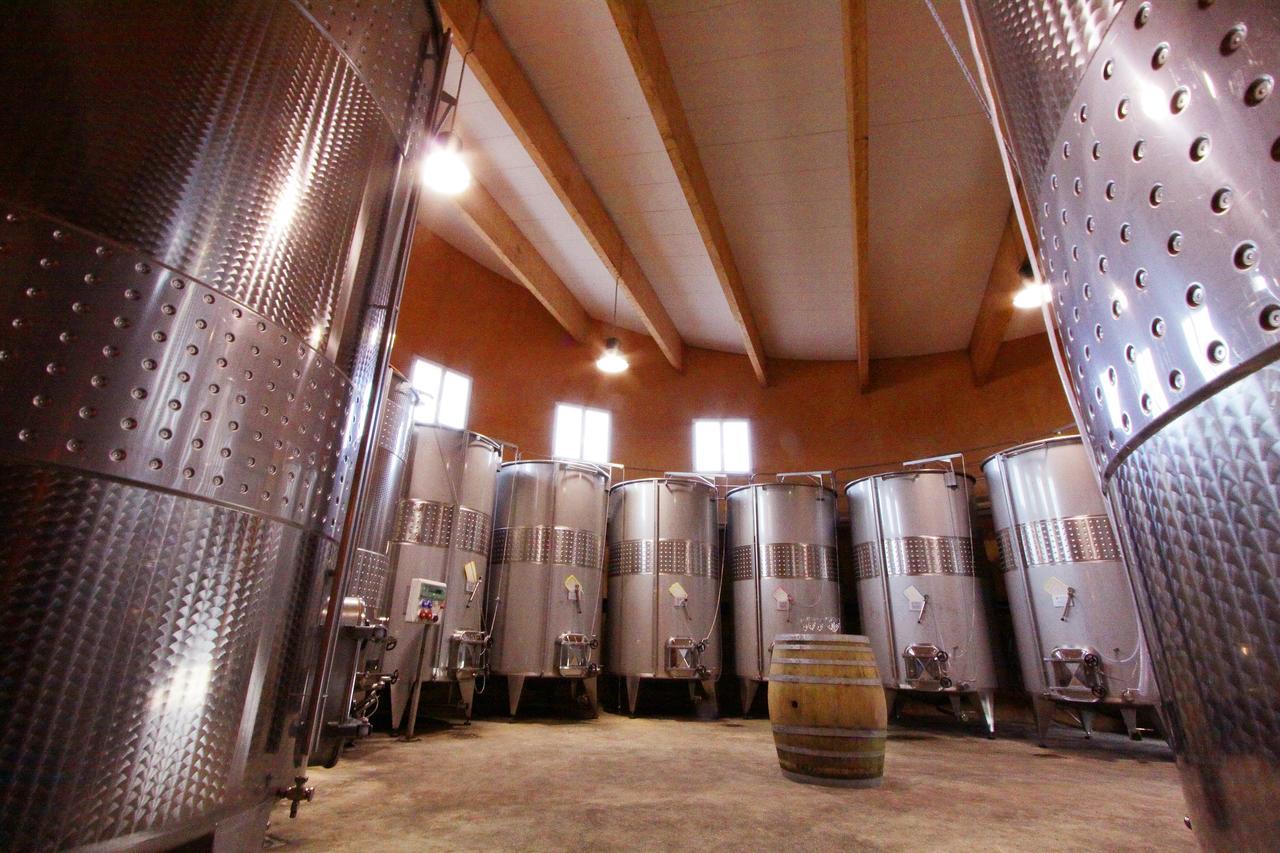Villemoustaussou O'Vineyards B&B Carcassonne מראה חיצוני תמונה