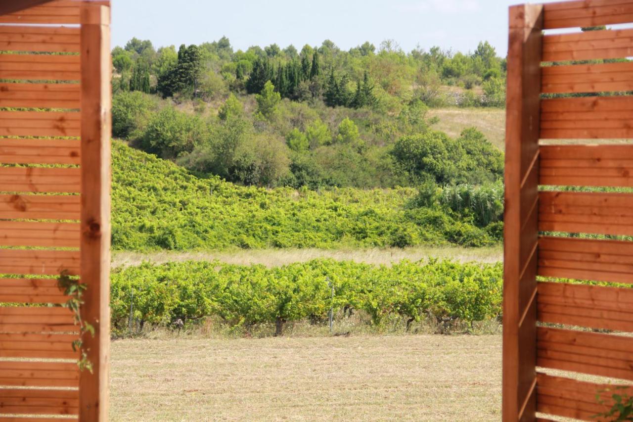 Villemoustaussou O'Vineyards B&B Carcassonne מראה חיצוני תמונה